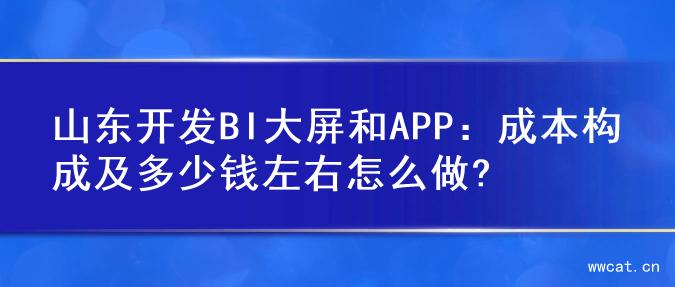 山东开发BI大屏和APP：成本构成及多少钱左右怎么做?