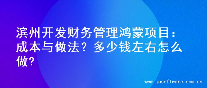 滨州开发财务管理鸿蒙项目：成本与做法？多少钱左右怎么做?