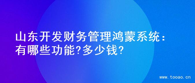 山东开发财务管理鸿蒙系统：有哪些功能?多少钱?