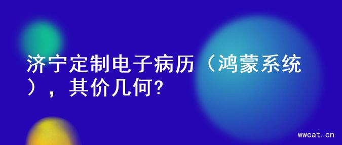 济宁定制电子病历（鸿蒙系统），其价几何?