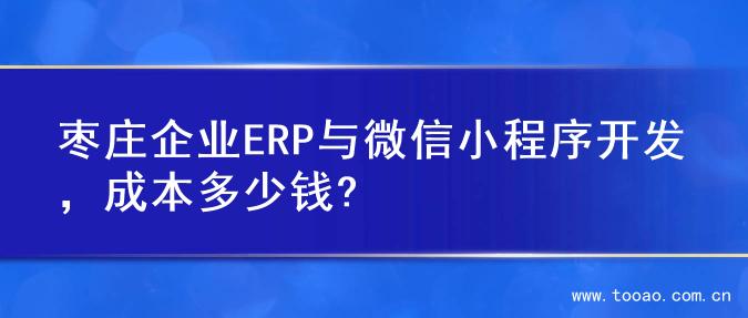 枣庄企业ERP与微信小程序开发，成本多少钱?