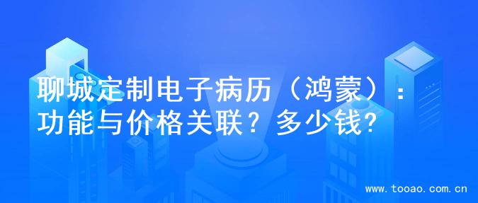 聊城定制电子病历（鸿蒙）：功能与价格关联？多少钱?