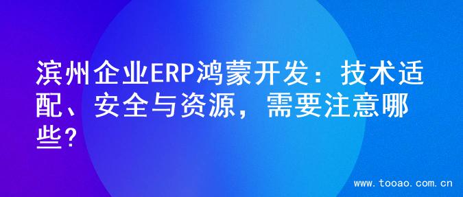 滨州企业ERP鸿蒙开发：技术适配、安全与资源，需要注意哪些?