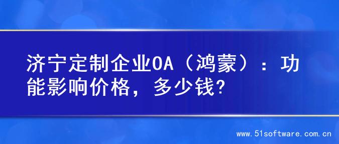 济宁定制企业OA（鸿蒙）：功能影响价格，多少钱?