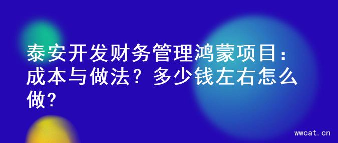 泰安开发财务管理鸿蒙项目：成本与做法？多少钱左右怎么做?