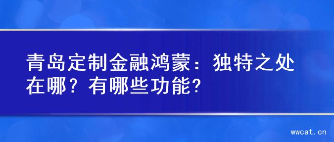 青岛定制金融鸿蒙：独特之处在哪？有哪些功能?