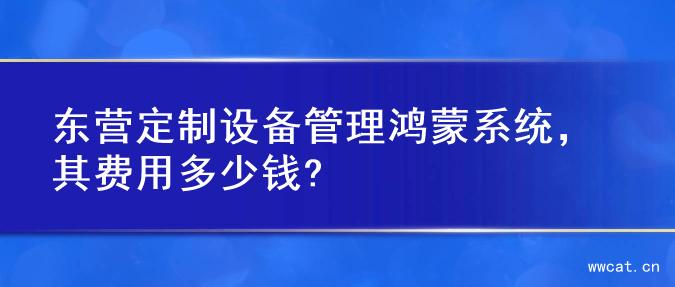 东营定制设备管理鸿蒙系统，其费用多少钱?