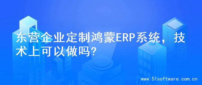 东营企业定制鸿蒙ERP系统，技术上可以做吗?