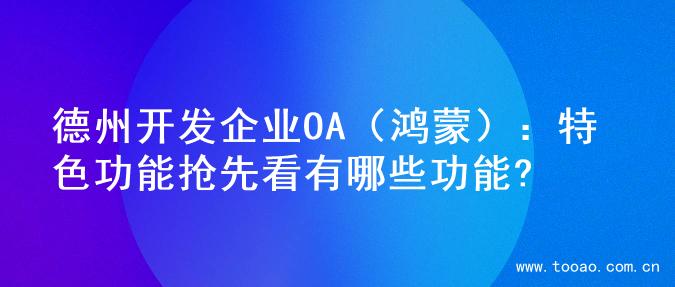 德州开发企业OA（鸿蒙）：特色功能抢先看有哪些功能?