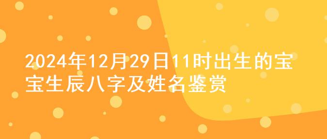 2024年12月29日11时出生的宝宝生辰八字及姓名鉴赏