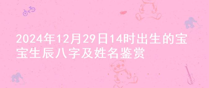 2024年12月29日14时出生的宝宝生辰八字及姓名鉴赏