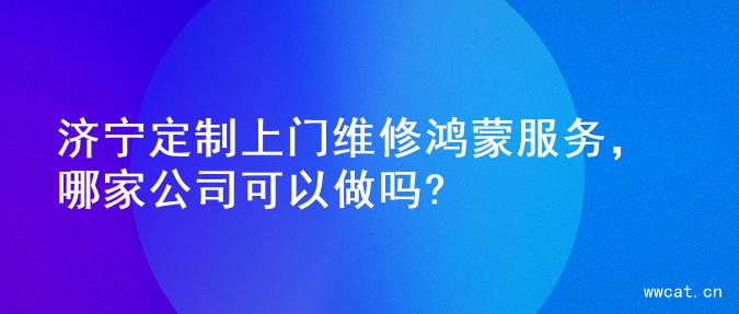 济宁定制上门维修鸿蒙服务，哪家公司可以做吗?