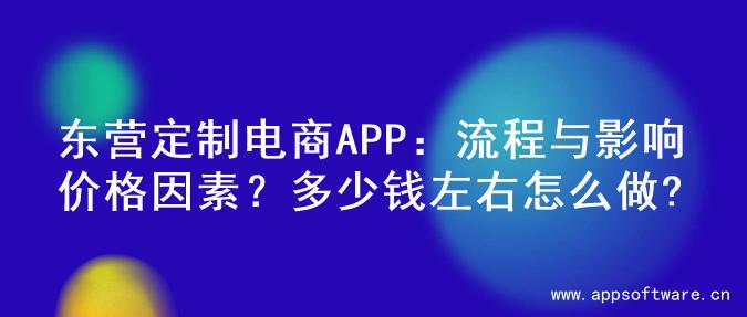东营定制电商APP：流程与影响价格因素？多少钱左右怎么做?