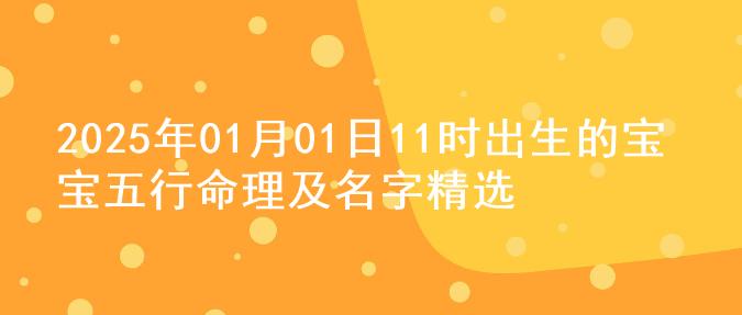 2025年01月01日11时出生的宝宝五行命理及名字精选