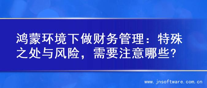 鸿蒙环境下做财务管理：特殊之处与风险，需要注意哪些?
