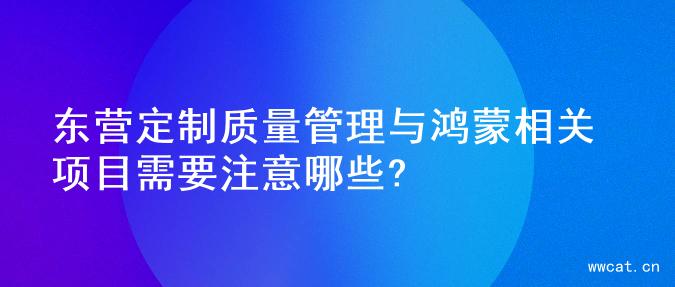 东营定制质量管理与鸿蒙相关项目需要注意哪些?