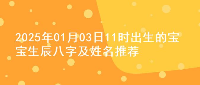 2025年01月03日11时出生的宝宝生辰八字及姓名推荐