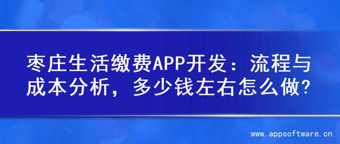 枣庄生活缴费APP开发：流程与成本分析，多少钱左右怎么做?