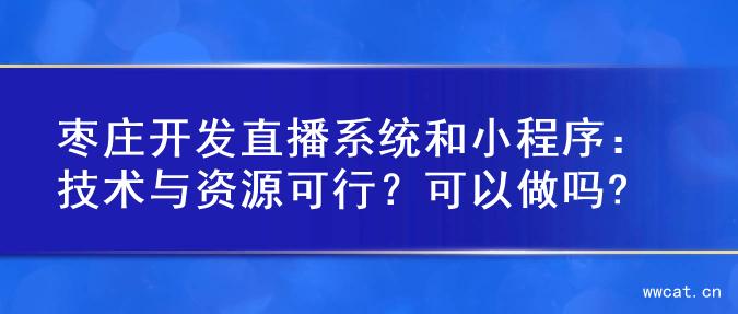 枣庄开发直播系统和小程序：技术与资源可行？可以做吗?