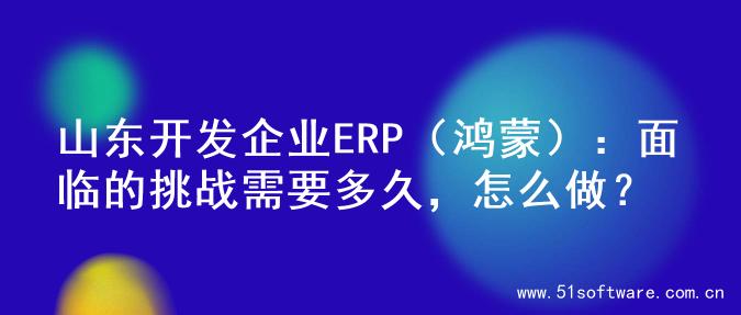 山东开发企业ERP（鸿蒙）：面临的挑战需要多久，怎么做？