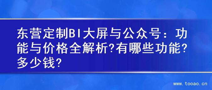 东营定制BI大屏与公众号：功能与价格全解析?有哪些功能?多少钱?