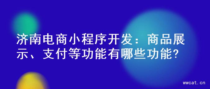 济南电商小程序开发：商品展示、支付等功能有哪些功能?