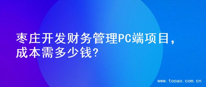 枣庄开发财务管理PC端项目，成本需多少钱?