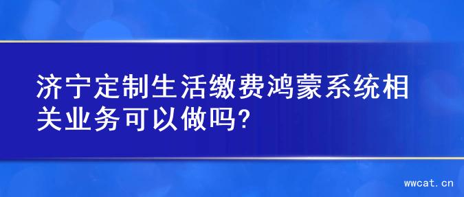 济宁定制生活缴费鸿蒙系统相关业务可以做吗?