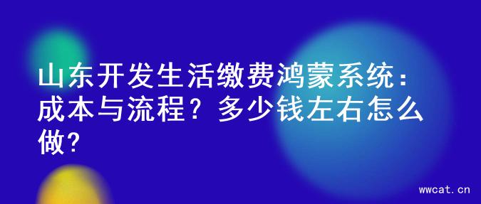 山东开发生活缴费鸿蒙系统：成本与流程？多少钱左右怎么做?