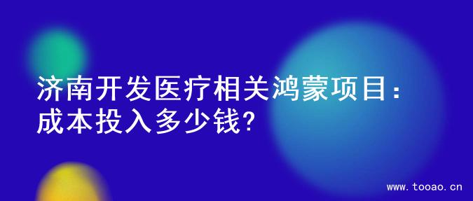 济南开发医疗相关鸿蒙项目：成本投入多少钱?