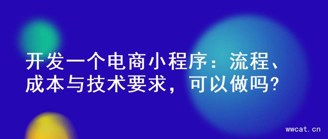 开发一个电商小程序：流程、成本与技术要求，可以做吗?