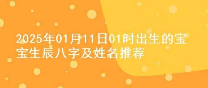 2025年01月11日01时出生的宝宝生辰八字及姓名推荐