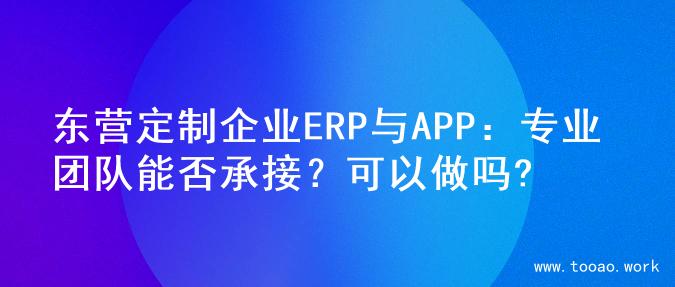 东营定制企业ERP与APP：专业团队能否承接？可以做吗?