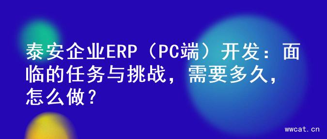 泰安企业ERP（PC端）开发：面临的任务与挑战，需要多久，怎么做？