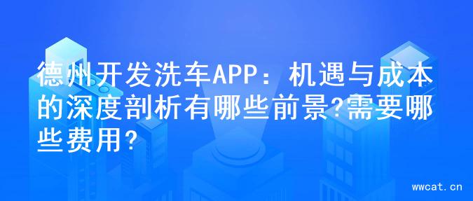 德州开发洗车APP：机遇与成本的深度剖析有哪些前景?需要哪些费用?