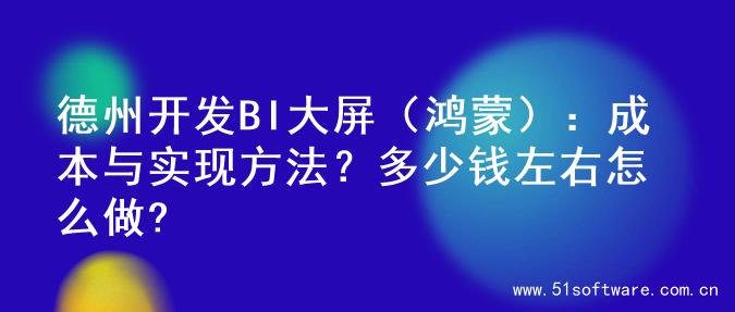 德州开发BI大屏（鸿蒙）：成本与实现方法？多少钱左右怎么做?
