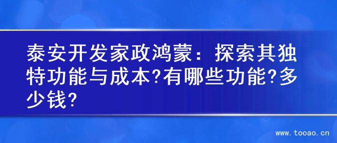 泰安开发家政鸿蒙：探索其独特功能与成本?有哪些功能?多少钱?