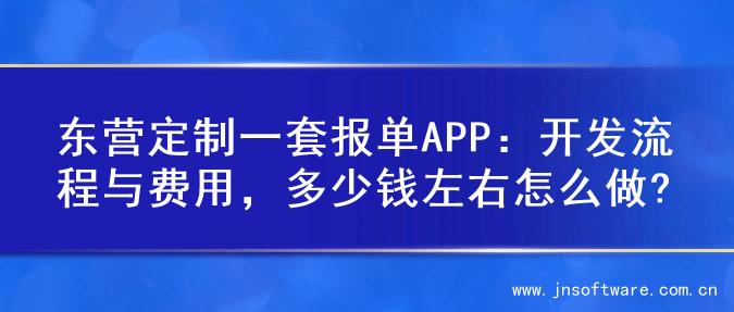 东营定制一套报单APP：开发流程与费用，多少钱左右怎么做?