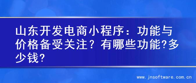 山东开发电商小程序：功能与价格备受关注？有哪些功能?多少钱?