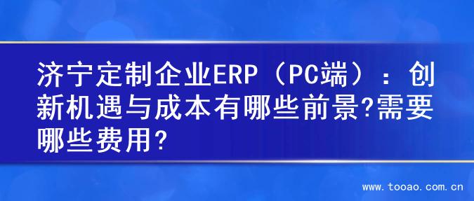 济宁定制企业ERP（PC端）：创新机遇与成本有哪些前景?需要哪些费用?