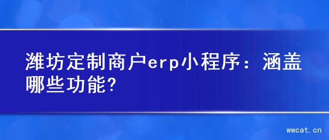 潍坊定制商户erp小程序：涵盖哪些功能?