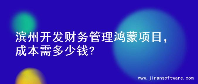 滨州开发财务管理鸿蒙项目，成本需多少钱?