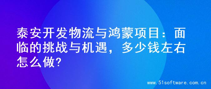 泰安开发物流与鸿蒙项目：面临的挑战与机遇，多少钱左右怎么做?