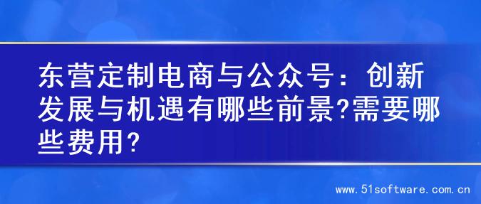 东营定制电商与公众号：创新发展与机遇有哪些前景?需要哪些费用?