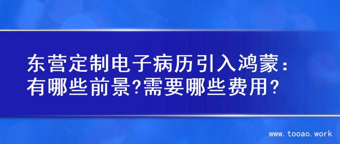 东营定制电子病历引入鸿蒙：有哪些前景?需要哪些费用?