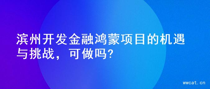 滨州开发金融鸿蒙项目的机遇与挑战，可做吗?