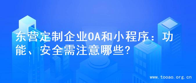 东营定制企业OA和小程序：功能、安全需注意哪些?