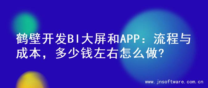 鹤壁开发BI大屏和APP：流程与成本，多少钱左右怎么做?