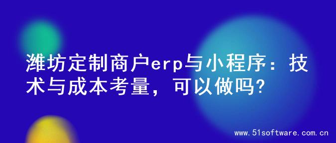 潍坊定制商户erp与小程序：技术与成本考量，可以做吗?
