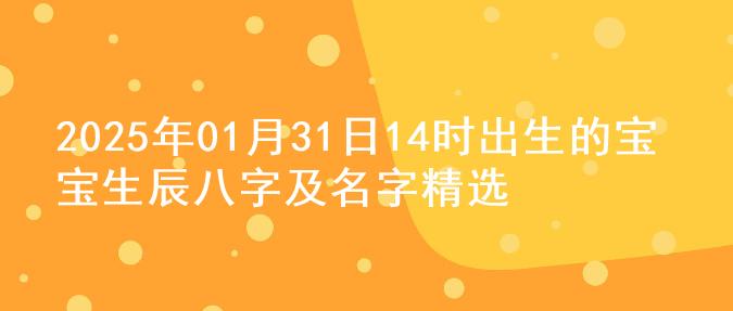 2025年01月31日14时出生的宝宝生辰八字及名字精选